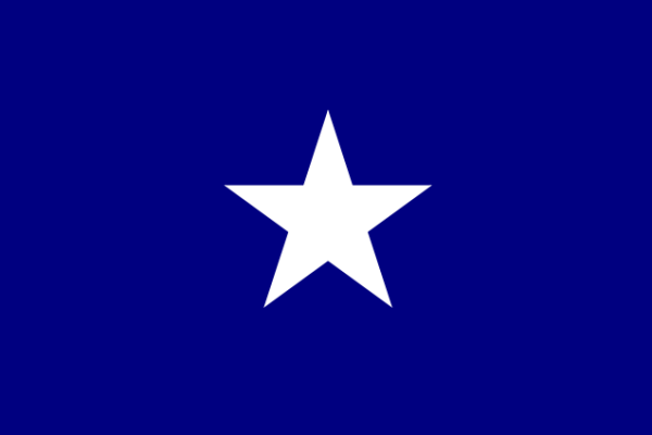 Die Bonnie Blue Flagge