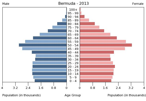 Bevölkerungspyramide 2013