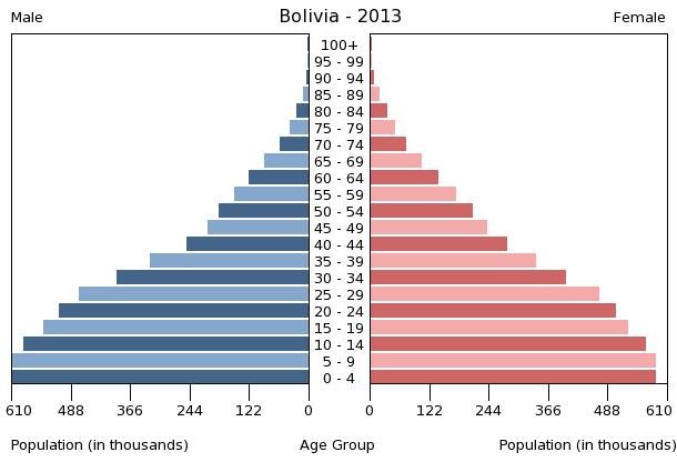 Bevölkerungspyramide 2013