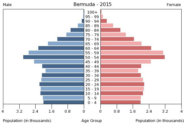 Bevölkerungspyramide 2015