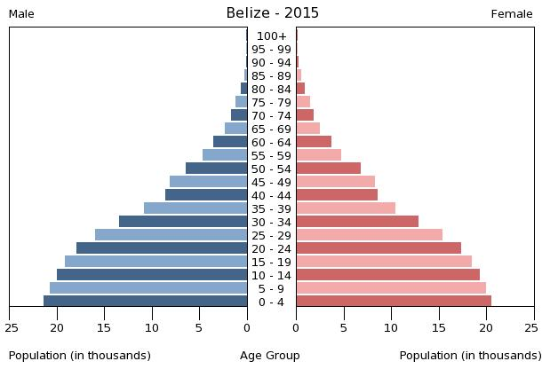 Bevölkerungspyramide 2015