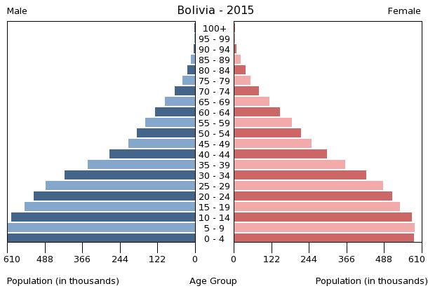 Bevölkerungspyramide 2015