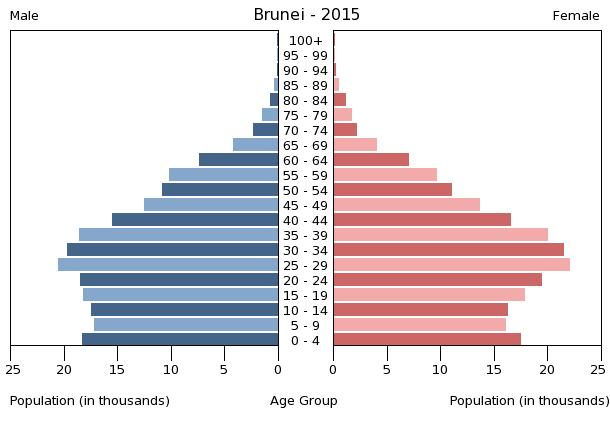 Bevölkerungspyramide 2015