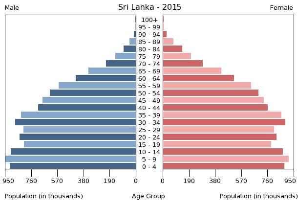 Bevölkerungspyramide 2015