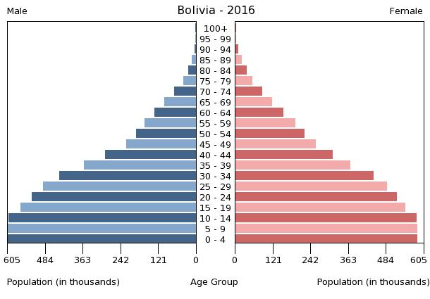 Bevölkerungspyramide 2016