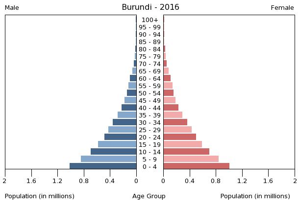 Bevölkerungspyramide 2016