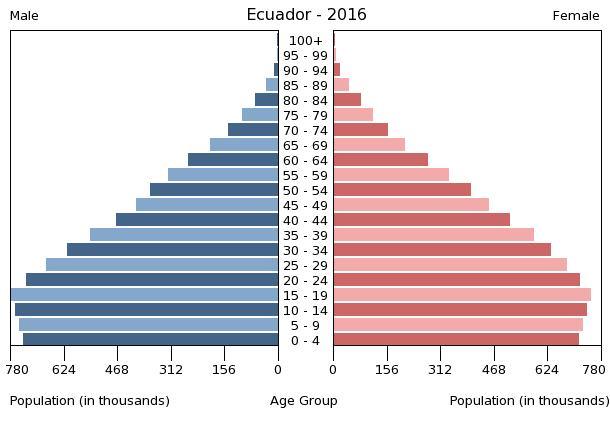 Bevölkerungspyramide 2016