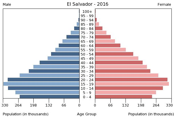 Bevölkerungspyramide 2016