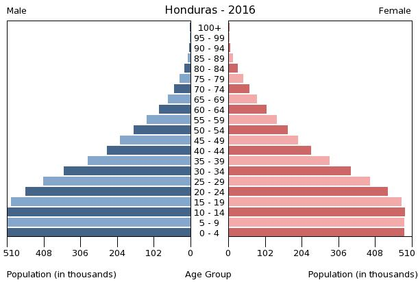 Bevölkerungspyramide 2016