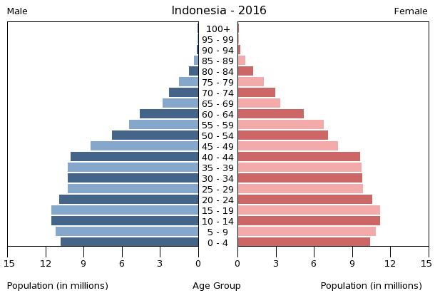 Bevölkerungspyramide 2016