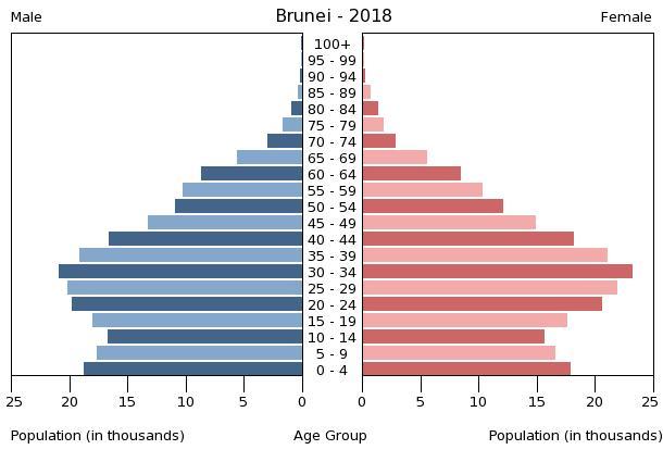 Bevölkerungspyramide 2018