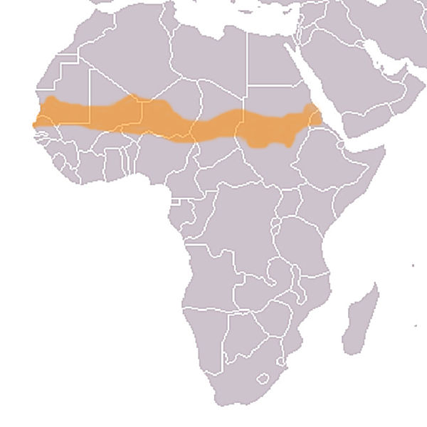 Datei:Map sahel.jpg